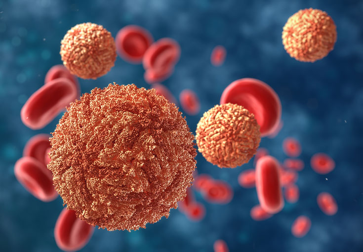 РНК Zika virus (вирус Зика, ZIKV) РНК Zika virus (вирус Зика, ZIKV)