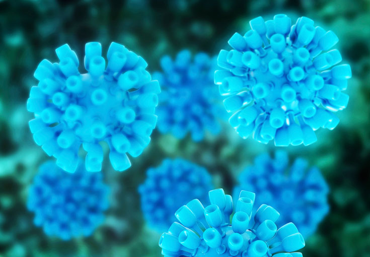 РНК HCV, ультрачувствительное исследование РНК HCV, ультрачувствительное исследование