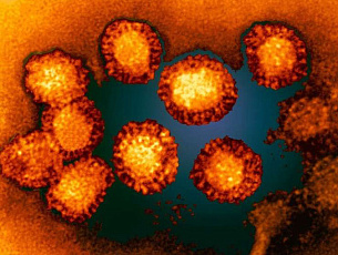 Диагностика вирусных инфекций дыхательных путей (грипп и ОРВИ)